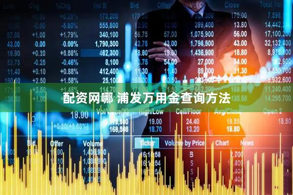 配资网哪 浦发万用金查询方法