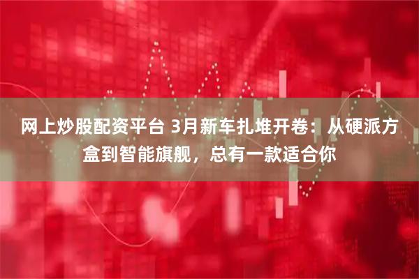 网上炒股配资平台 3月新车扎堆开卷：从硬派方盒到智能旗舰，总有一款适合你